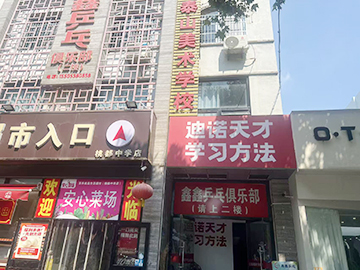 肥城小学英语辅导机构哪家好，靠谱选择看迪诺天才